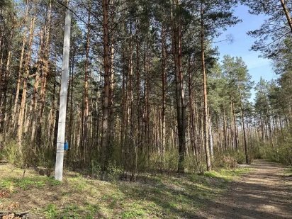 Ділянка в лісі, 17 кВт заведено, дорога , 19 км до ст м Житомирська