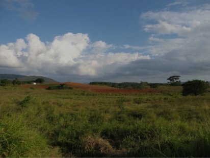 Продам земельну ділянку Іванків