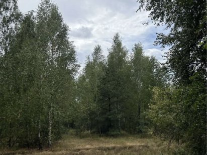 ТОП ЦІНА! Земельна ділянка в оточенні лісу! Здвижевка