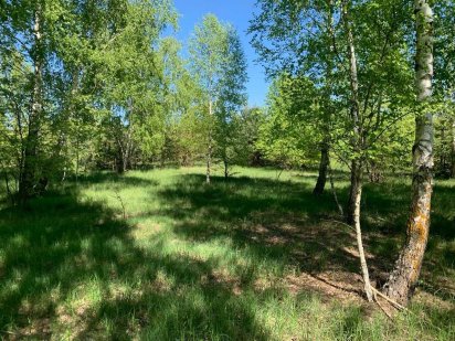 Земельна ділянка під садівництво. Здвижівка. 12 соток. Здвижевка