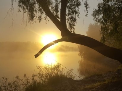 Участок на Десне, 15 км. от Киева. Сады Зазимье (дачи).