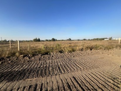 Продаж ділянок с. Зазимʼя Зазим'я