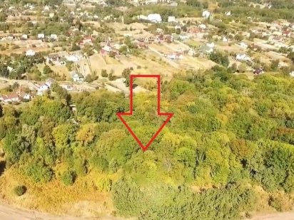 Продам 2 га в лісі с. Іванковичі Іванковичі