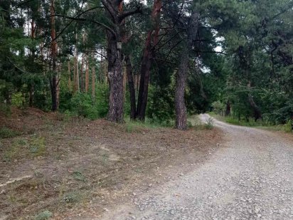 Продам ділянку в Кийлові, подібних пропозицій немає...