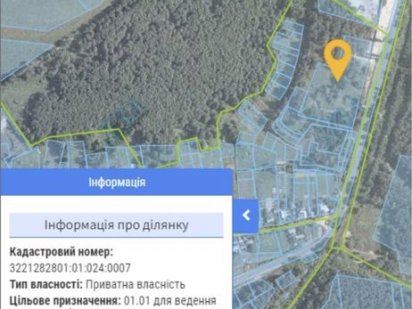 Ділянка в лісі  Зазимʼя