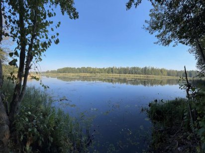 Без% Кийлів. 12 сот (до 1,9 га). Прямий вихід до Дніпра Кийлов