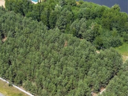 НАЙКРАЩА ДІЛЯНКА у Кийлові 48 сот. з Електр. 50 кВт. ЛІС.ВИХІД ДО ВОДИ