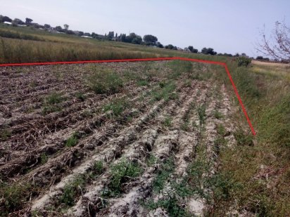 Участок в селе Красиловка Красилівка