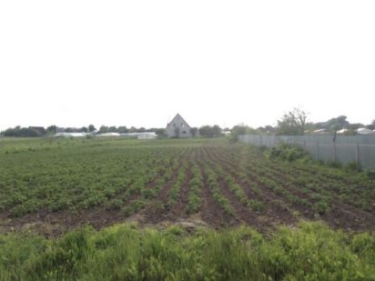 Продаж земельної ділянки під житлову забудову, площа 25 соток