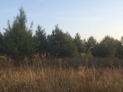 Земельна ділянка площею 3,2 га.