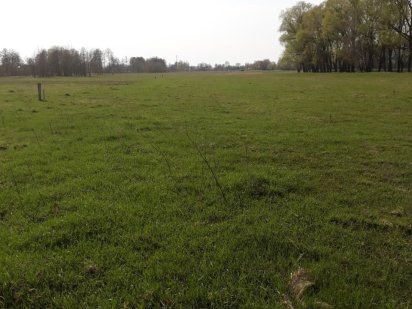 Срочно продам земельный участок. Хозяин. Летки