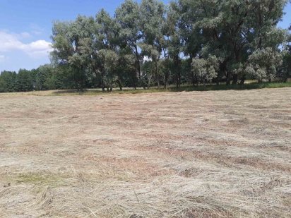 Продам земельну ділянку Летки