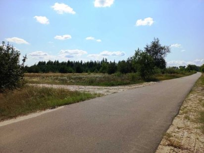 Продам фасадный участок под застройку 80 соток у леса в Летках Летки