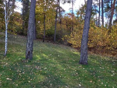 Біля води, Лютіж, 60 соток для садівництва з лісом. Шикарне місце!