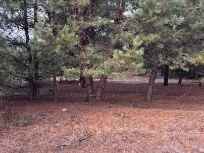 Власний ліс на ділянці! Малютянка / 10 соток / 18 км від метро Теремки Малютянка