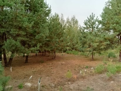 Продаж земельної ділянки під житлову забудову, площа 10 соток Малютянка