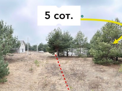 Мальовнича земельна ділянка в Малютянці! Світло, сусіди, молоді сосни!