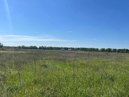 ділянка 20 сотих в с. Микуличі, Бучанського району ID579