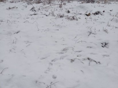 Продам ділянку терміново! Мархалівка