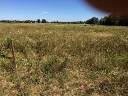 Продажа участка в с. Микуличи, Киевская область Микуличі