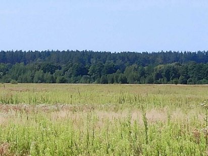 Продаж ділянки 12 сот під забудову, с.Микуличі, Бучанський р-н. ID:85