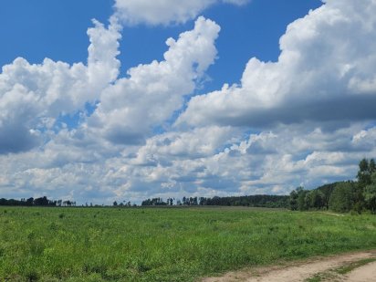 ТЕРМІНОВО! Ділянка на 10 соток, під забудову, с. Михайлівка-Рубежівка