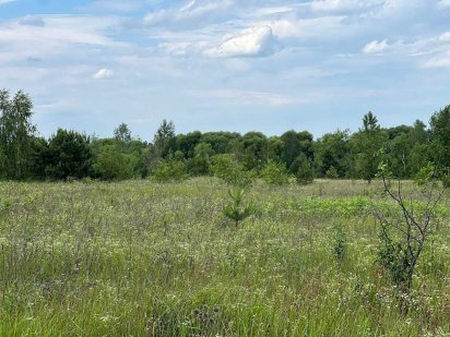 Продаж ділянки 10 соток поруч ліс та озеро