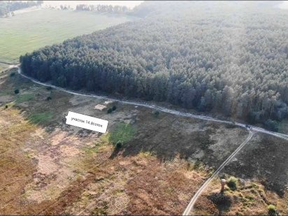 Дiлянка під забудову бiля лісу.