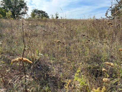 Продаж 27.5 соток під забудову М.Рубежівка вул. Василькова. ID 41