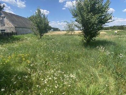 Участок в центрі села Микуличі