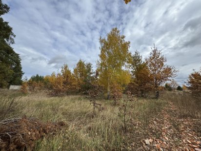 Ділянка 15 сот поряд ліс Михайлівка-Рубежівка