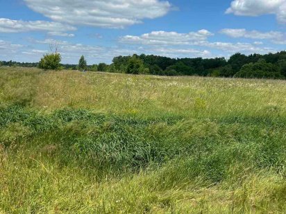 Продаж земельної ділянки 40 соток!