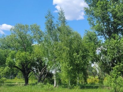 Земельна ділянка 10 соток, в с. Михайлівка-Рубежівка, 13 км до Києва