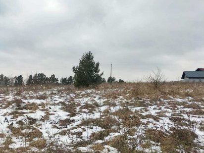 Продаж земельної ділянки у Музичах. 40 соток (20 + 20) Вулиця Урожайна