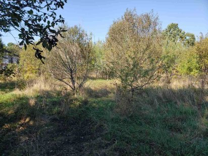 Продается участок 19,5 соток в Музычах, Киевская обл. Собственник!