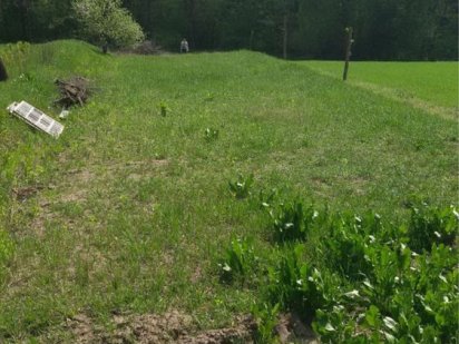 Продам земельну ділянку Музичі