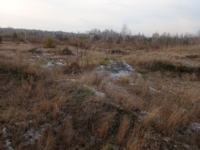 Новосілки. Вишгородський район. Ділянка під забудову Новосілки