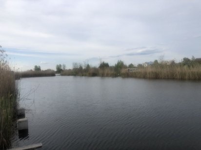 Продам участок у озера ,Конча -Заспа , Новые Безрадичи