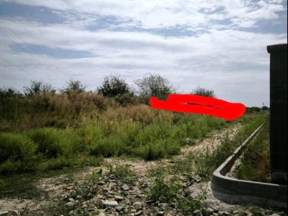 Продається ділянка 14сот.с. Петрушки 6000у.о..