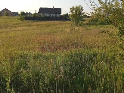 Земельна ділянка, с. Петрушки