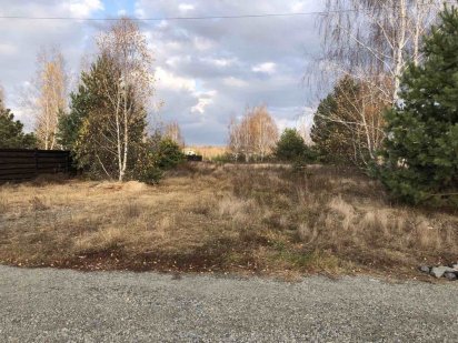 Петрушки , 10 соток , новое поле возле леса