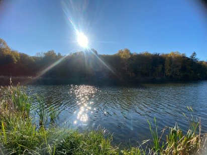 Ділянка 10 соток під житлову забудову! ID 48