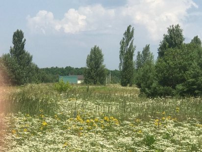 Земля сільськогосподарського призначення, пай. Осиково