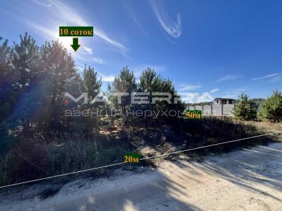 Петрушки-Мила-Гореничі продаж ділянки 10 соток усіяна соснами