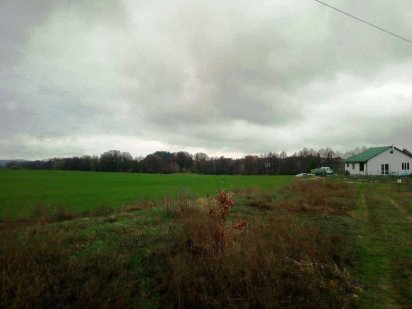 Петрушки 10 соток під забудову Петрушки