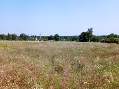 Продам земельну ділянку 15 соток Київська обл  с.Осиково