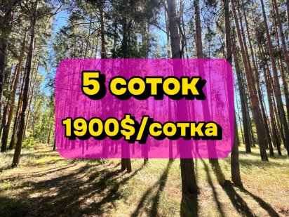 Земельна ділянка вашої мрії серед лісу! Поруч з Києвом