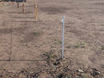 Земля 6 сотих С.Петропавлівське Бориспільський район участок ділянка Петропавлівське