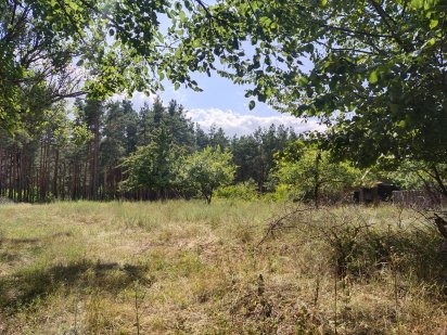 Без% Продаж земельної ділянки в с. Плесецьке, Київської обл. Плесецьке