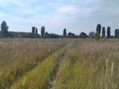 Продаж. Ділянка під житлову забудову, Бориспільський, Петропавлівське